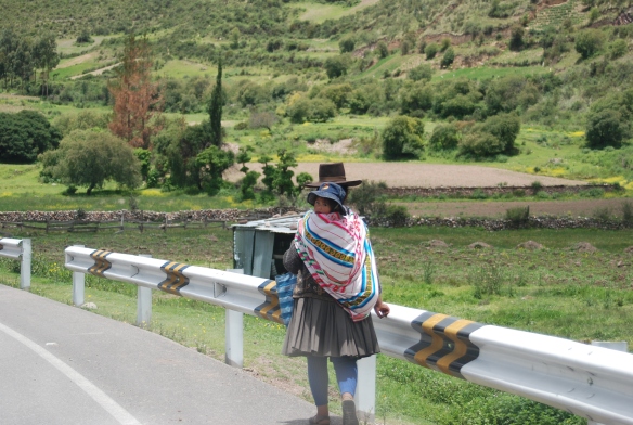 14d-de AguasCalientes a Cuzco (51)